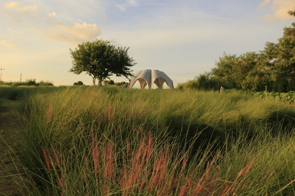 하늘공원 억새축제 기본 정보