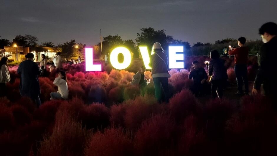 하늘공원 억새축제 기본 정보